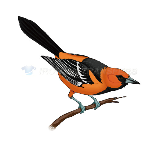 Birds Iron-on Stickers (Heat Transfers)NO.2140